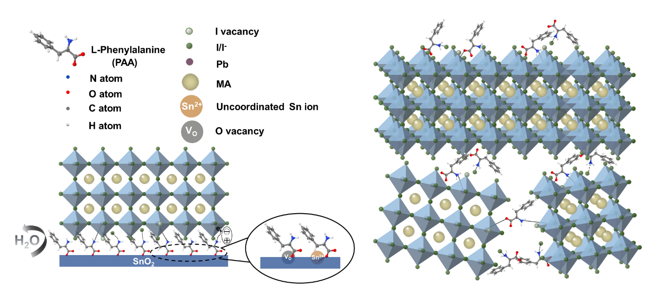 ae170ba4-cb35-48b0-bf27-7b76fdc66b15.png